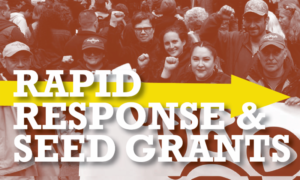 Rectangular graphic featuring a picture of people smiling and standing together at a march while holding a banner. some people have their fists up. There is a red overlay on the picture. White text reads Rapid Response and Seed Grants