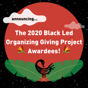 Square image with a background of white stars on a black sky. In the center is a large red moon with small white clouds floating in front of it and palm leaves with a sankofa bird at their center framing the bottom. Text reads announcing...the 2020 Black Led Organizing Giving Project Awardees