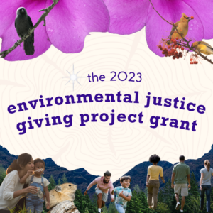Square image with collage of flowers birds animals people mountains and trees. Text reads the 2023 environmental justice giving project.