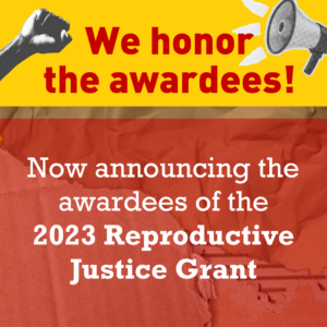 Square image with bright collage background in yellow red and cardboard brown. Cutout pictures of a fist raised in protest and a megaphone decorate the corners. Text reads We honor the awardees. announcing the awardees of the 2023 Reproductive Justice Grant. SJFs logo is in the bottom center
