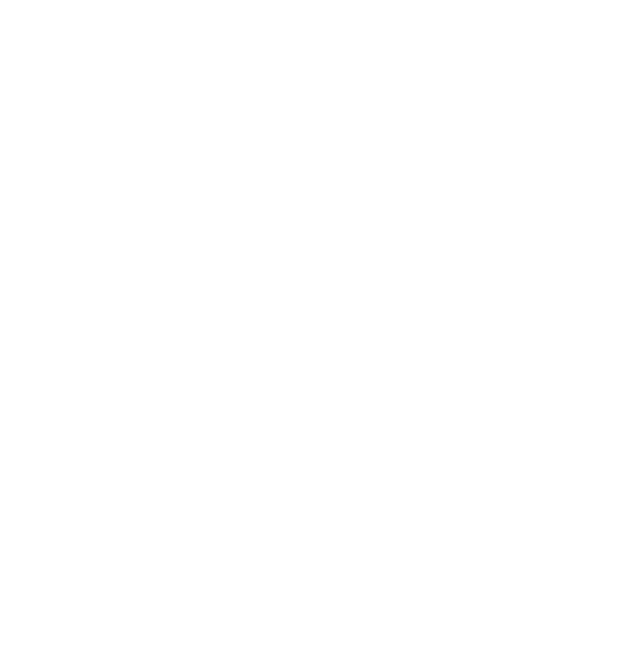 Social Justice Fund NW